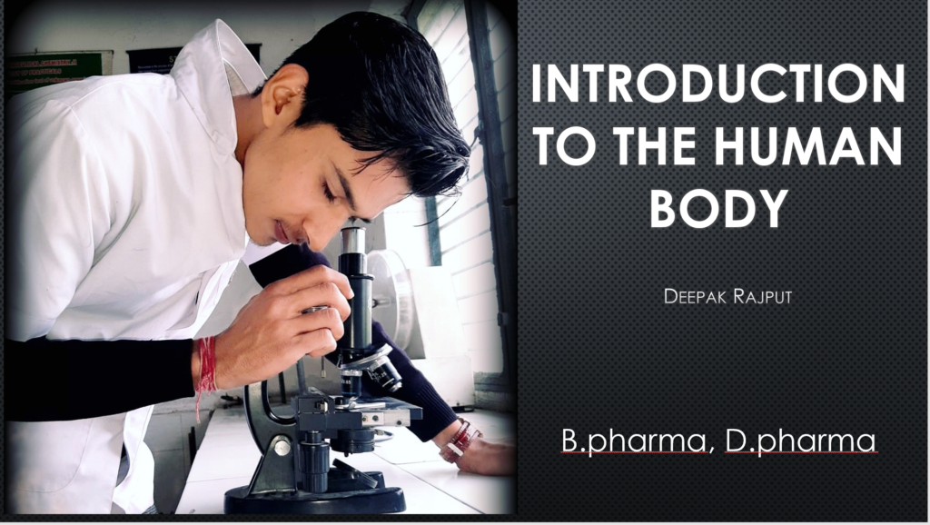 Introduction to the human body: