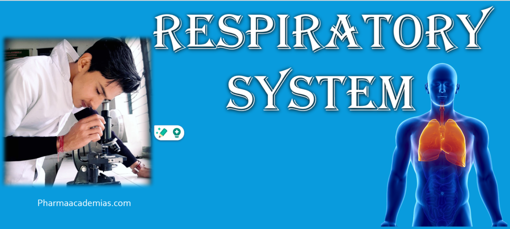 Respiratory system