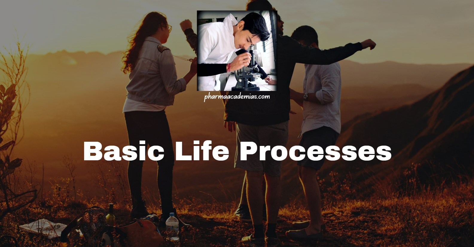 Screenshot 2025 02 24 112151 Basic life processes: Introduction, Types and Functions