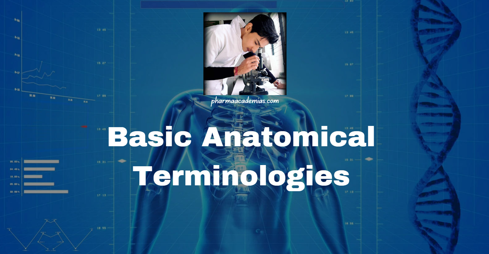 Screenshot 2025 02 24 112618 Basic anatomical terminologies