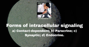 Read more about the article Forms of intracellular signaling: a) Contact-dependent; b) Paracrine; c) Synaptic; d) Endocrine.