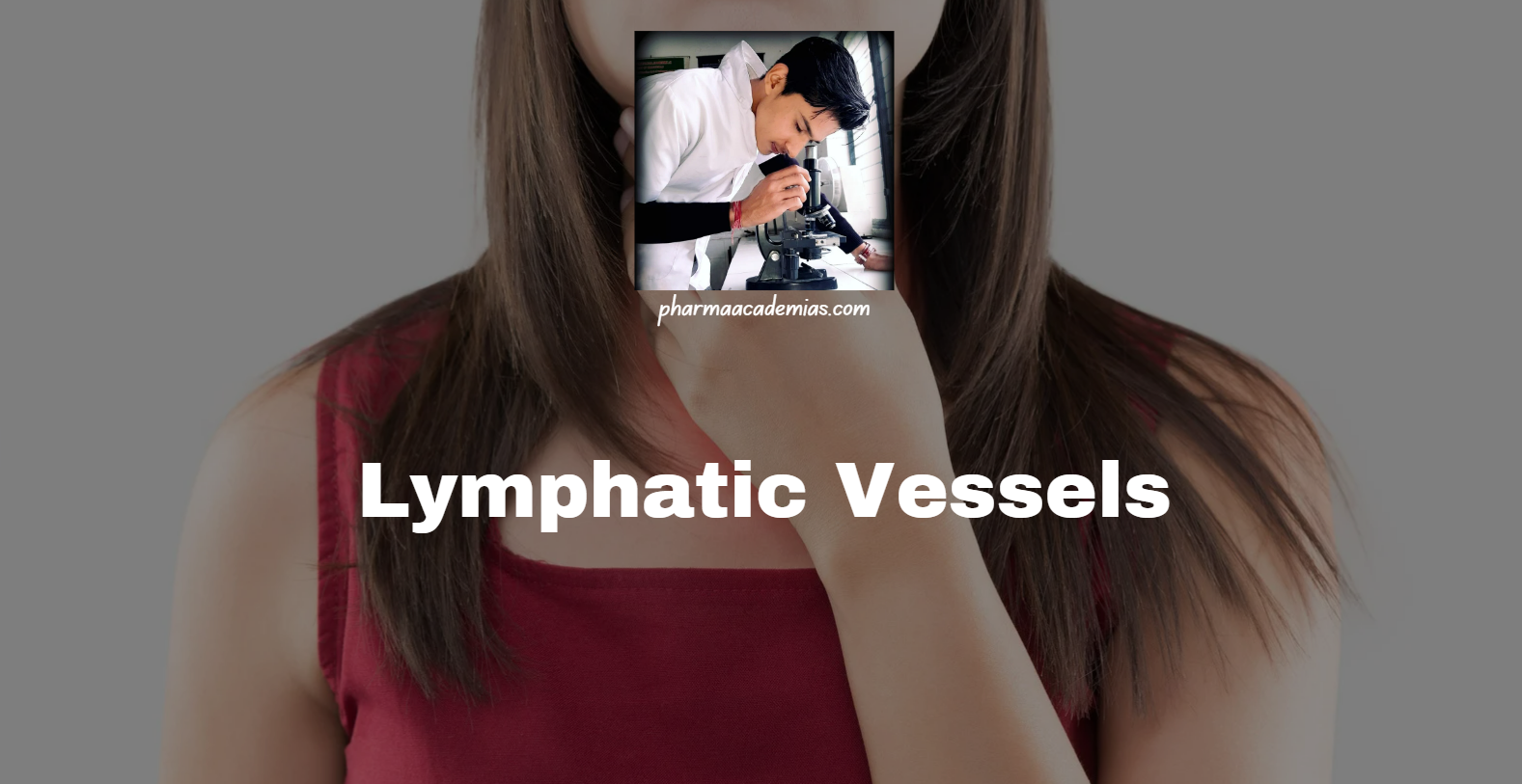 Screenshot 2025 02 26 104148 Lymphatic Vessels: Structure, Functions, Types, and clinical significance
