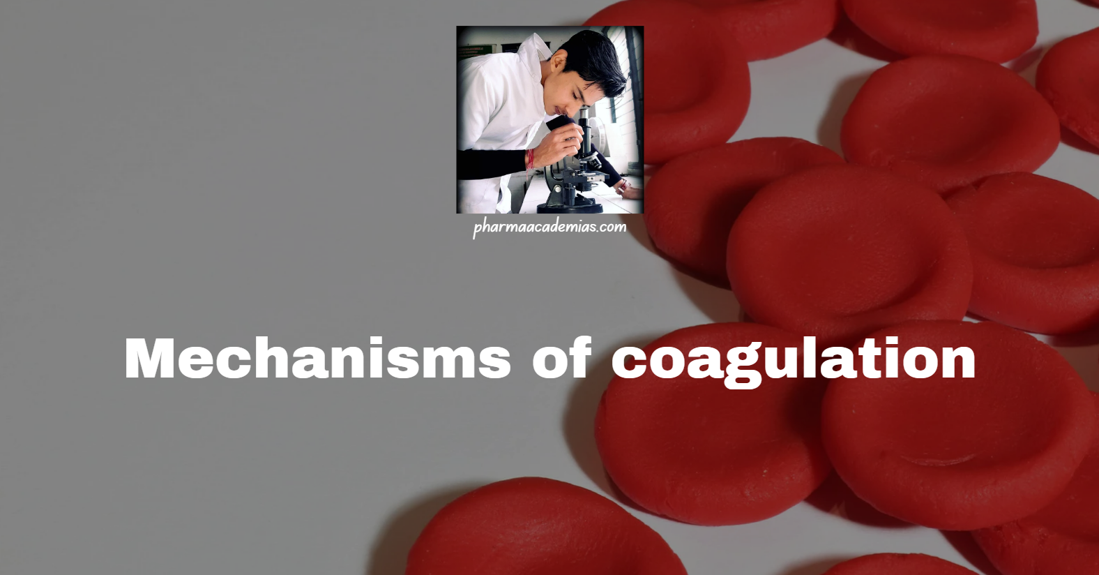 Screenshot 2025 02 26 112603 Mechanisms of coagulation