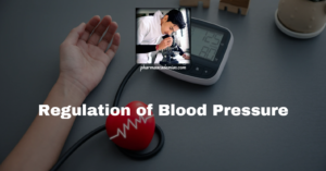 Read more about the article Regulation of Blood Pressure