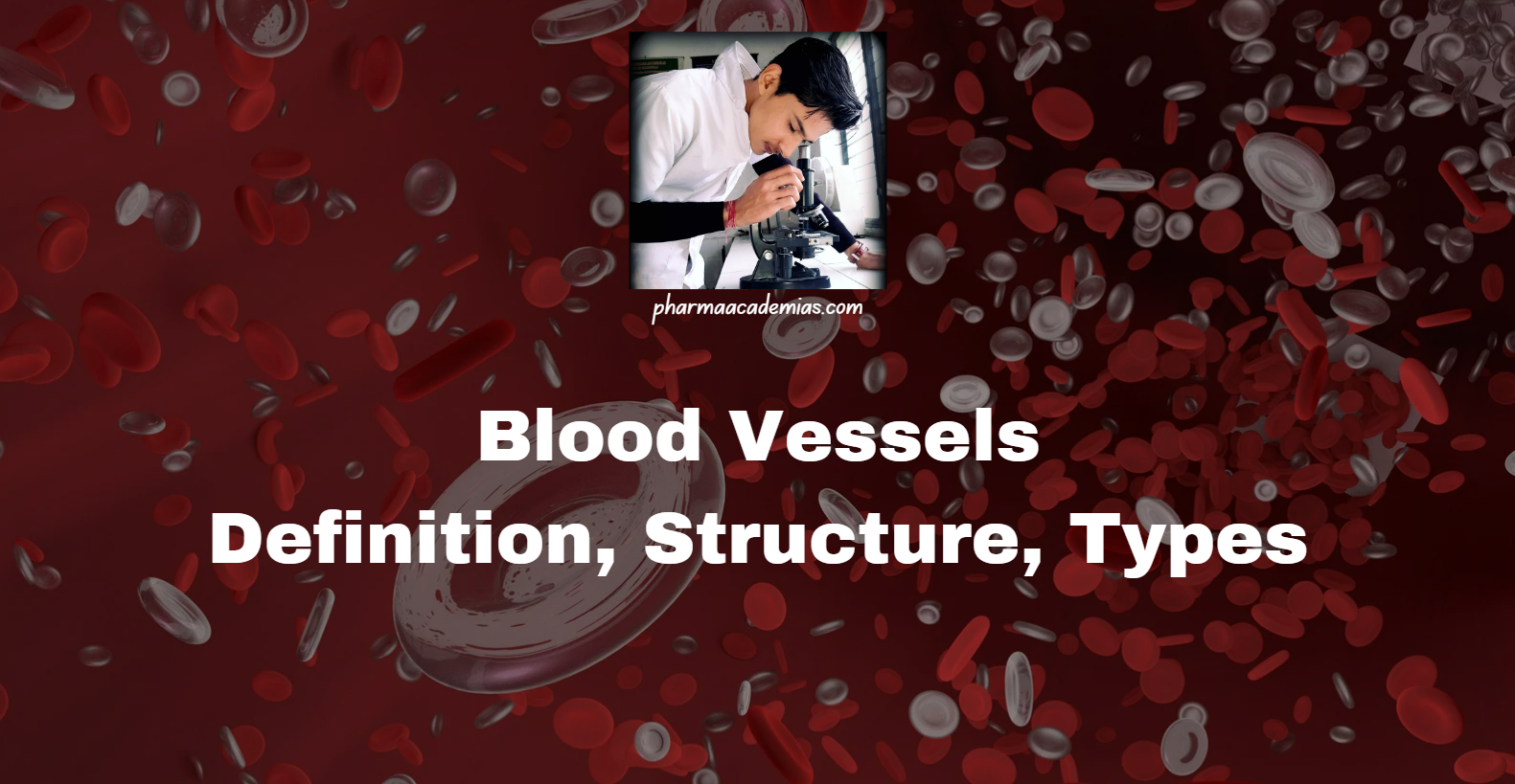 Screenshot 2025 02 26 160821 Blood Vessels: Definition, Types, Structure and Functions
