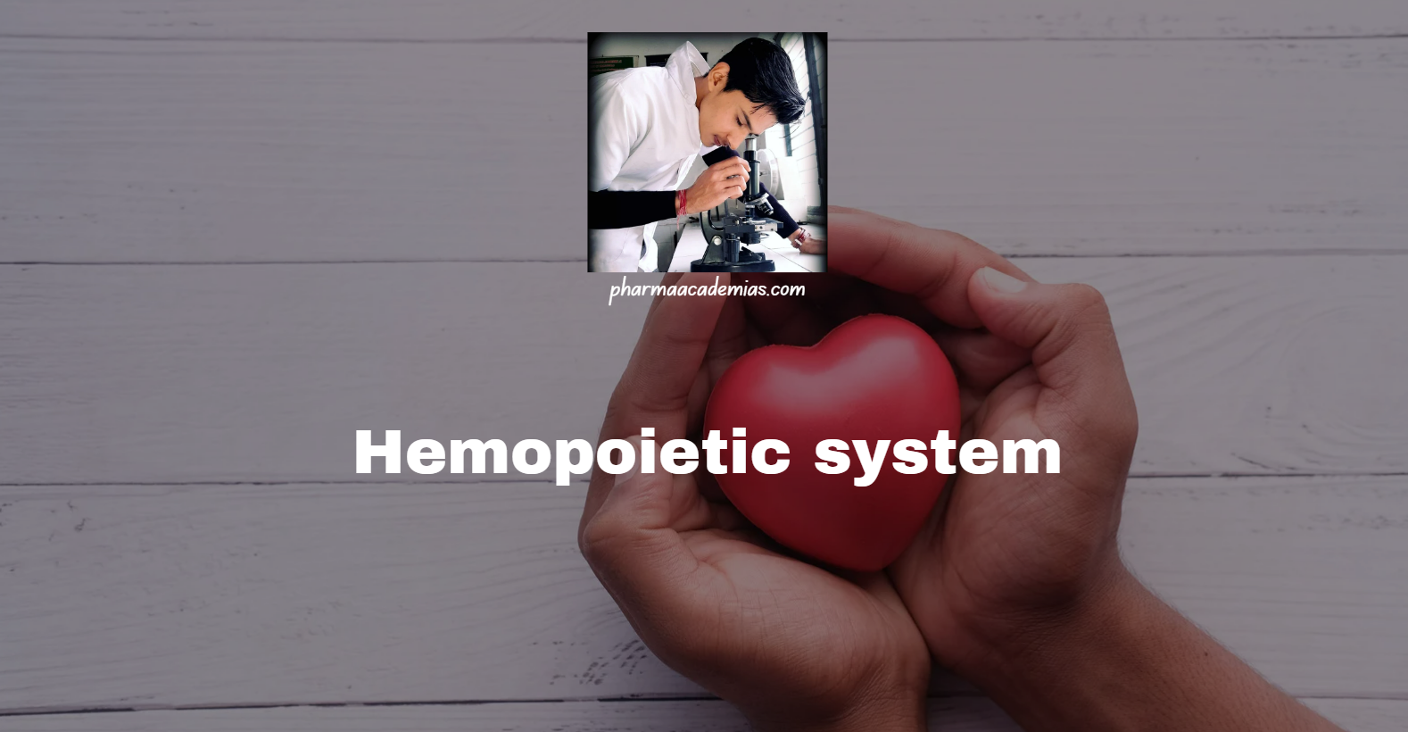 Screenshot 2025 02 26 194548 Hemopoietic system: Definition, Composition and functions