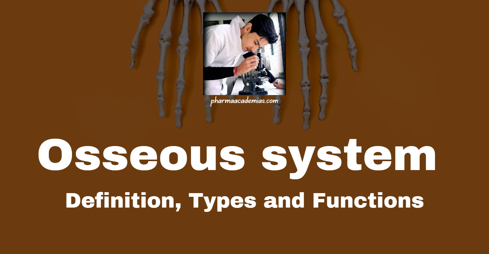 Screenshot 2025 03 27 125224 Osseous system: Definition, Types and Functions