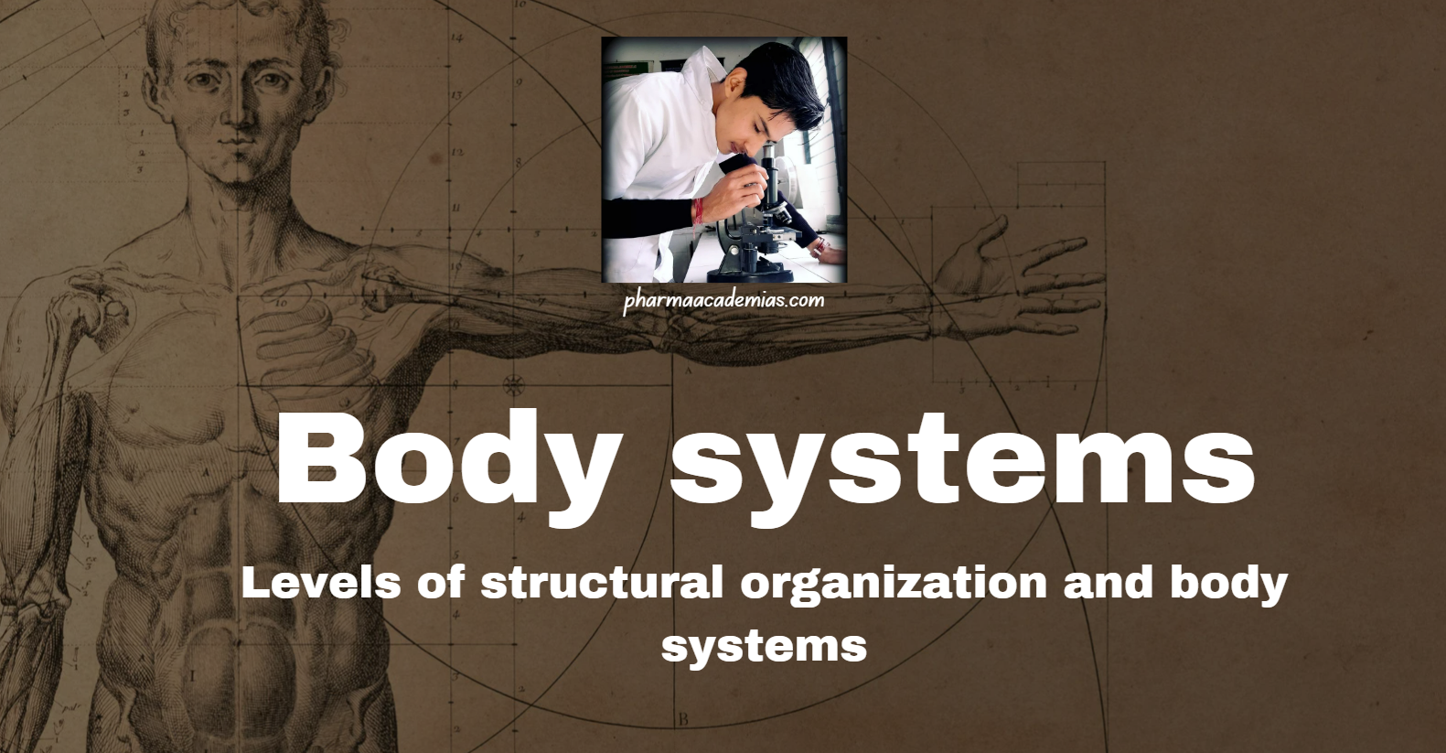 Screenshot 2025 03 31 094309 Body systems: Levels of structural organization and body systems