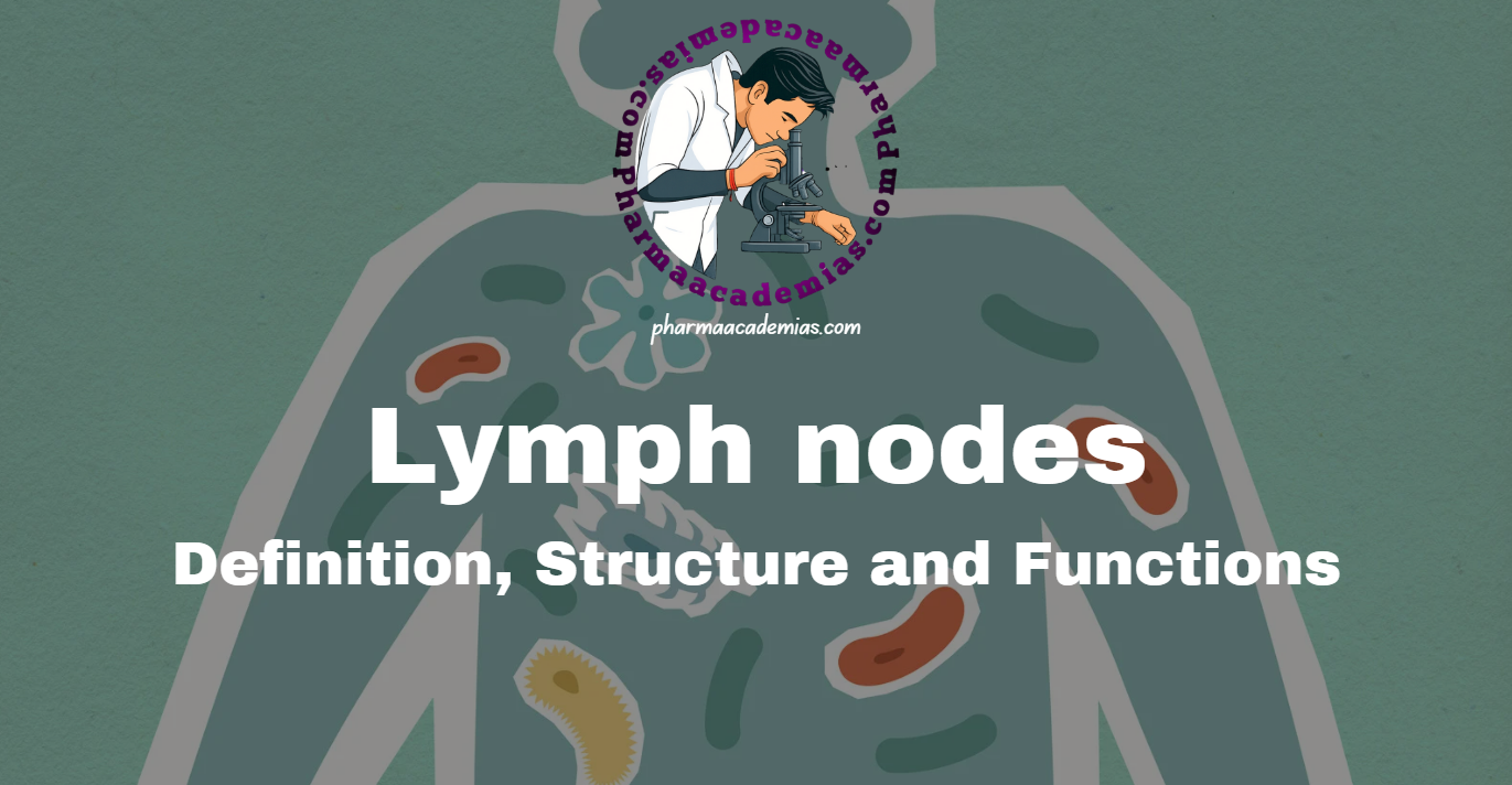 Screenshot 2025 04 07 110455 Lymph nodes: Definition, Structure and Functions