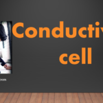 Conductivity cell