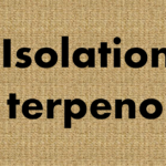 Isolation of terpenoids