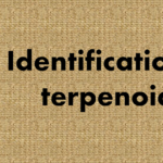 Identification of terpenoids