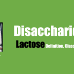 Lactose – Definiton Structure