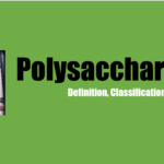 Polysaccharides – Definition, Classification