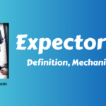 Expectorants – Definition, Uses, Mechanism, Side effects