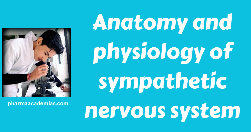 Anatomy and physiology of sympathetic nervous system