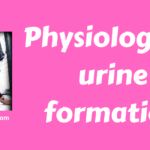 Physiology of urine formation