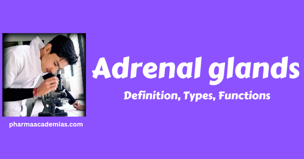 Adrenal glands- Definition, Functions