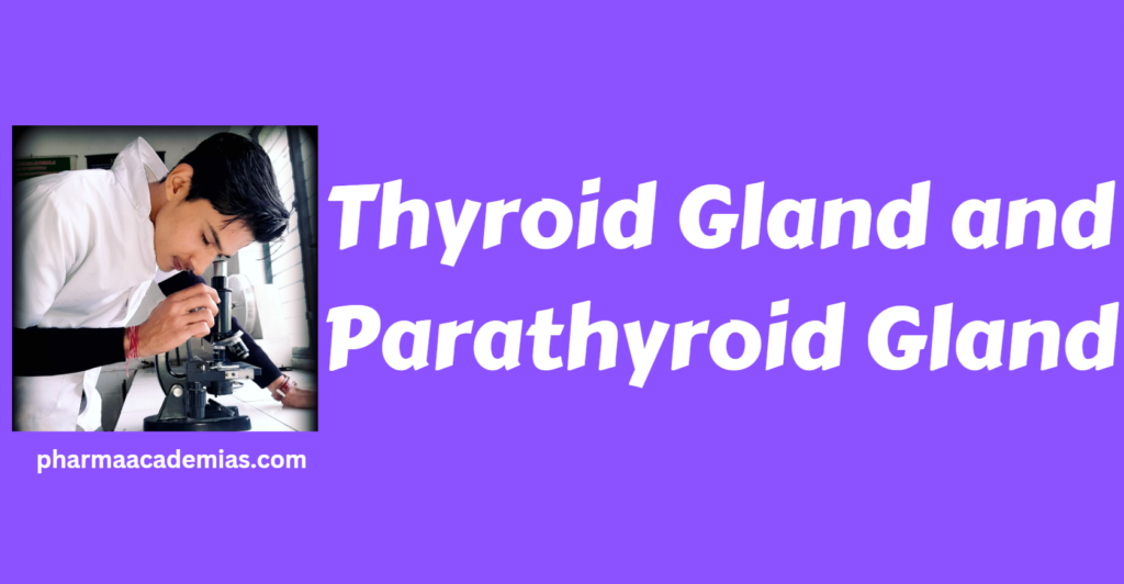 Thyroid Gland and Parathyroid Gland