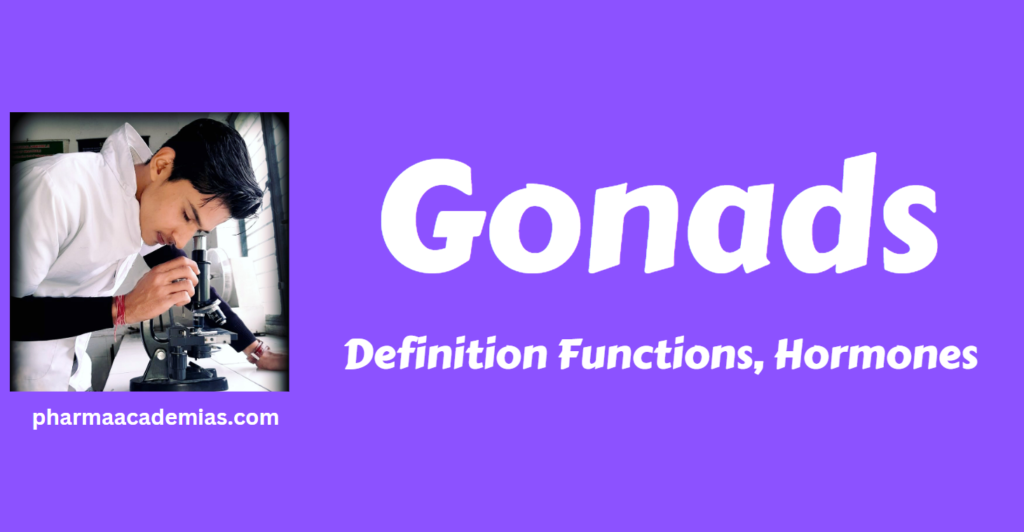 Gonads- Definition, Types, Hormones