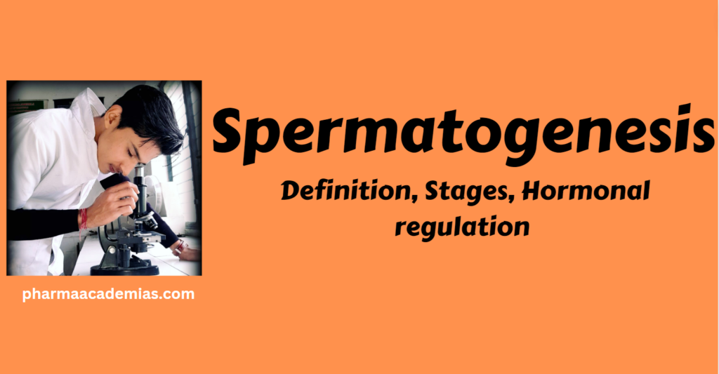 Spermatogenesis- Definition, Stages, Hormonal regulation