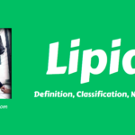 Lipids- Definition, Classification, Nature, Role