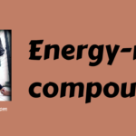 Energy-rich compounds