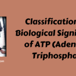 Classification and Biological Significance of ATP (Adenosine Triphosphate)