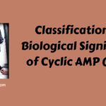 Classification and Biological Significance of Cyclic AMP (cAMP)