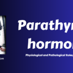 Parathyroid Hormone (PTH): Physiology, Pathology, and Clinical Uses