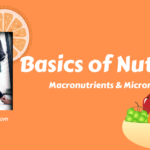 Basics of Nutrition – Macronutrients & Micronutrients