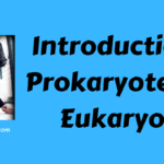 Introduction to Prokaryotes and Eukaryotes