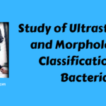 Study of Ultrastructure and Morphological Classification of Bacteria