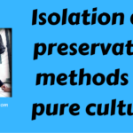 Isolation and preservation methods for pure cultures