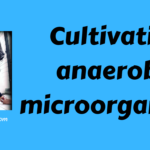 Cultivating anaerobic microorganisms