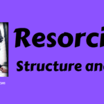 Resorcinol – Structure and Uses