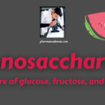 Monosaccharides: Structure of glucose, fructose, and galactose