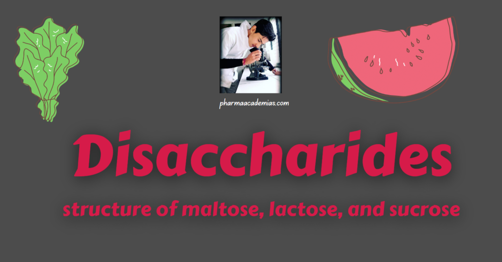 Disaccharides: structure of maltose, lactose, and sucrose