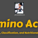 Amino Acids: Definition, Classification, and Nutritional Significance