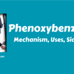 Phenoxybenzamine: Mechanism, Uses, Side effects