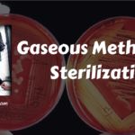 Gaseous Methods of Sterilization