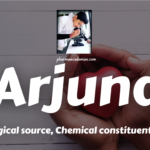 Arjuna: Biological source, Chemical constituents, Uses