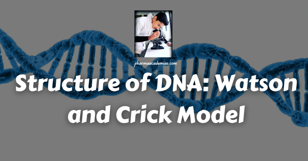 Structure of DNA: Watson and Crick Model