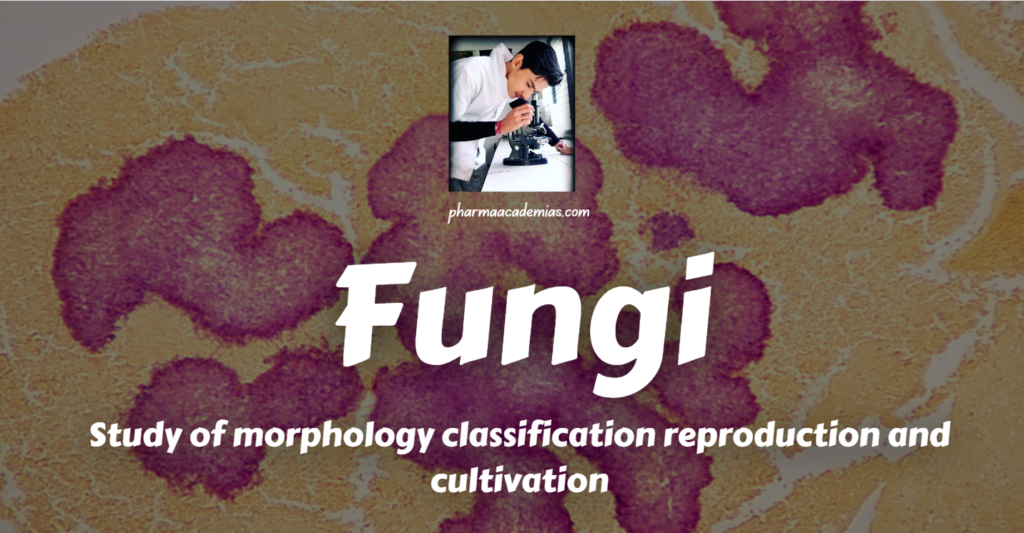 Study of morphology, classification, reproduction/replication, and cultivation of Fungi