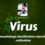 Study of morphology, classification, reproduction/replication, and cultivation of  Virus