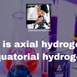 What is axial hydrogen and equatorial hydrogen?