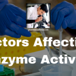 Factors Affecting Enzyme Activity