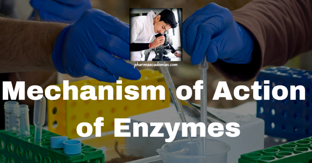 Mechanism of Action of Enzymes