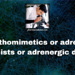 Sympathomimetics or  adrenergic agonists or adrenergic drugs