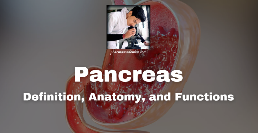 Pancreas: Definition, Anatomy, and Functions